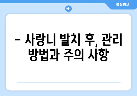 사랑니 발치, 신경 손상과 골절 위험 주의! | 사랑니 발치 전 필수 정보, 주의 사항, 후기