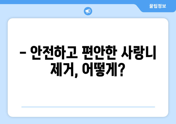 비정상적으로 자란 사랑니, 안전하게 제거하는 방법 | 사랑니 발치, 사랑니 제거 수술, 사랑니 통증