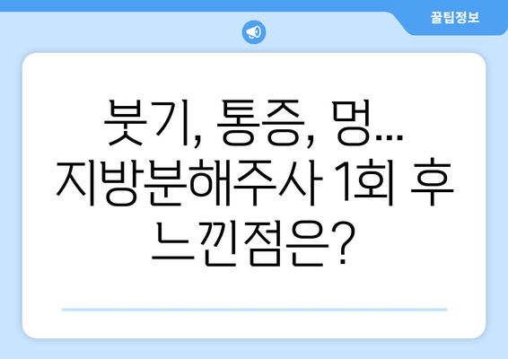 송도비만클리닉 날씬허벅지 지방분해주사 1회 후기| 효과는? | 허벅지, 지방분해, 송도, 비만클리닉, 후기