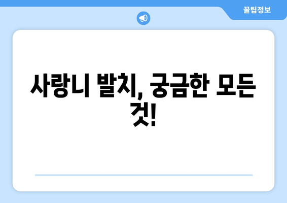 사랑니 관리, 언제부터 시작해야 할까요? | 사랑니 발치, 사랑니 통증, 사랑니 관리법, 사랑니 관리 시기