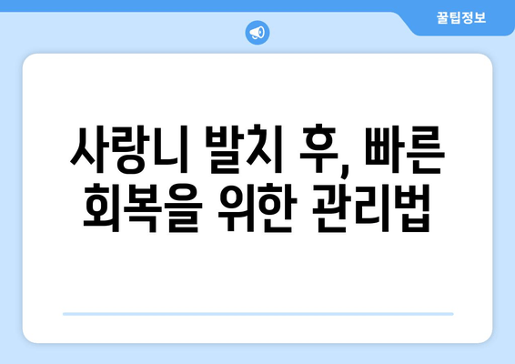 사랑니 발치, 최소 통증으로 이겨내는 방법 | 사랑니 발치, 통증 줄이기, 발치 후 관리