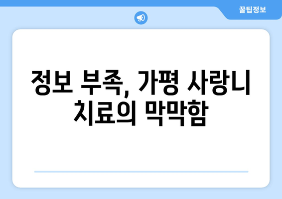 가평 지역 사랑니 치과 방문 어려움의 주요 원인과 해결 방안 | 사랑니, 치과, 가평, 교통, 진료, 정보