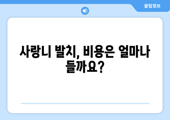 매복 사랑니, 치료 전 꼭 알아야 할 5가지 필수 사항 | 사랑니 발치, 매복 사랑니 증상, 치료 방법, 주의 사항