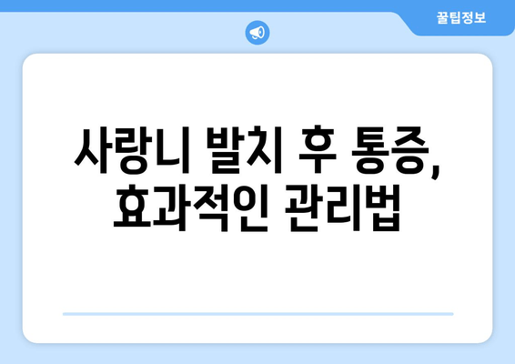 신경과 가까운 사랑니, 걱정 없는 발치를 위한 5가지 팁 | 사랑니 발치, 신경 손상, 통증 완화, 발치 후 관리