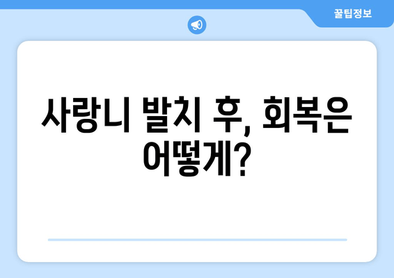 사랑니 발치, 꼭 알아야 할 핵심 정보 7가지 | 사랑니 발치, 통증, 부작용, 회복, 주의사항, 치과, 비용