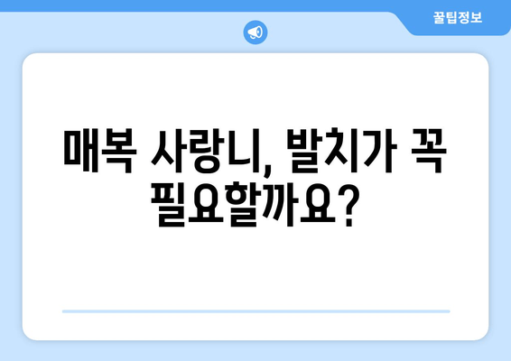 사랑니, 맹출 안 될 때 걱정 마세요! 부분 맹출 대처법 완벽 가이드 | 사랑니, 매복 사랑니, 사랑니 발치, 사랑니 통증, 사랑니 관리