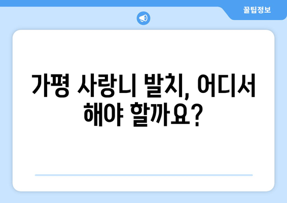 가평 사랑니 발치, 망설이시나요? | 치과 선택부터 비용까지, 궁금한 모든 것