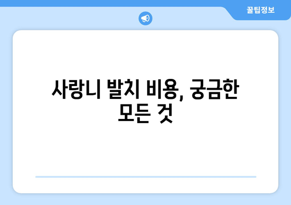 가평 사랑니 발치, 망설이시나요? | 치과 선택부터 비용까지, 궁금한 모든 것