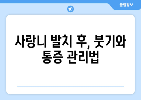 사랑니 통증, 더 악화되기 전에 해결하세요! | 사랑니, 발치, 치료, 통증, 붓기, 주의사항
