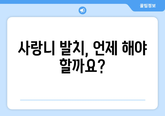 사랑니 통증, 더 악화되기 전에 해결하세요! | 사랑니 발치, 사랑니 관리, 사랑니 통증 완화