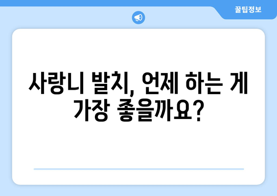 사랑니 발치, 꼭 해야 할까요? | 사랑니 발치 필수성, 장단점 비교, 발치 시기