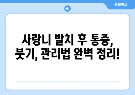 사랑니 통증, 더 악화되기 전에 해결하세요| 사랑니 발치 전 알아야 할 모든 것 | 사랑니 통증, 사랑니 발치, 치과, 치료, 정보