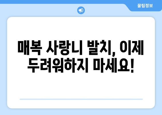 수면치료로 편안하게! 매복 사랑니 발치, 강일동/상일동 추천 | 사랑니 발치, 수면 마취, 치과 추천, 강동구