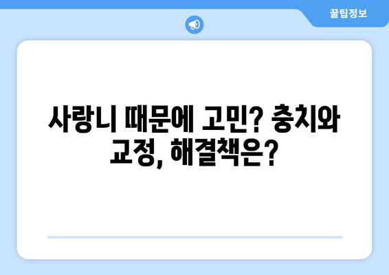 사랑니 충치, 교정 문제 해결의 열쇠? | 사랑니, 충치, 교정, 치과