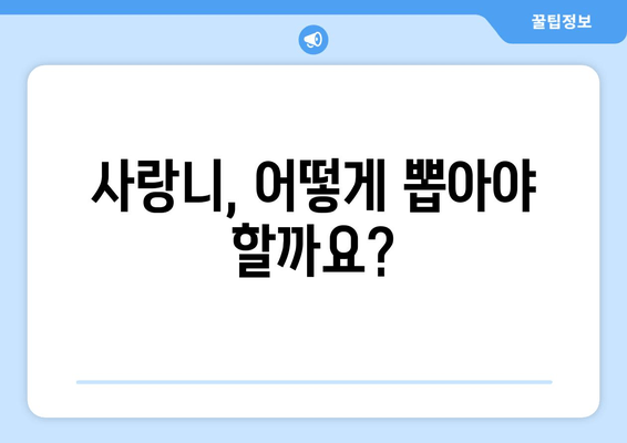 사랑니, 어떻게 뽑아야 할까요? | 서면, 사례별 사랑니 치료법, 사랑니 발치, 사랑니 통증, 사랑니 관리