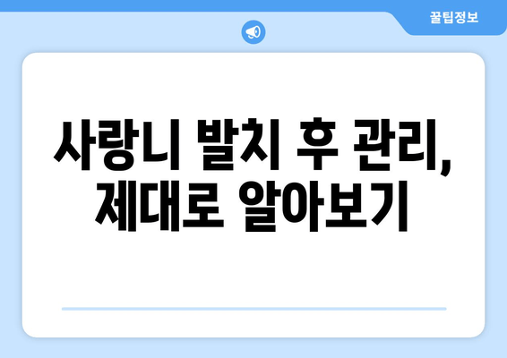 사랑니 발치 고민, 이제 그만!  | 사랑니 발치, 고민 해결 가이드, 사랑니 발치 후 관리, 사랑니 발치 비용