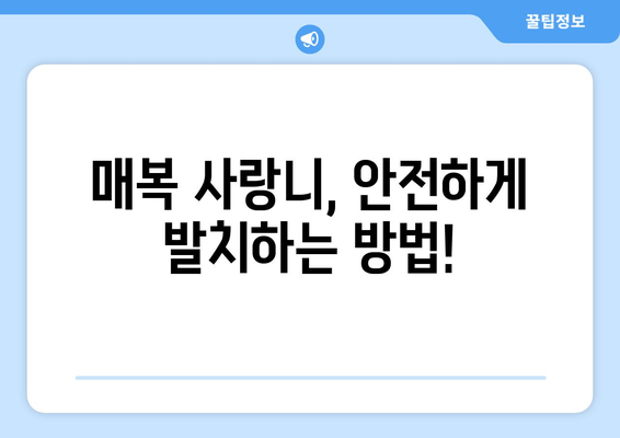 일산 사랑니 발치, 안전하고 편안하게! 믿을 수 있는 치과 선택 가이드 | 매복 사랑니, 발치, 치과 추천, 일산