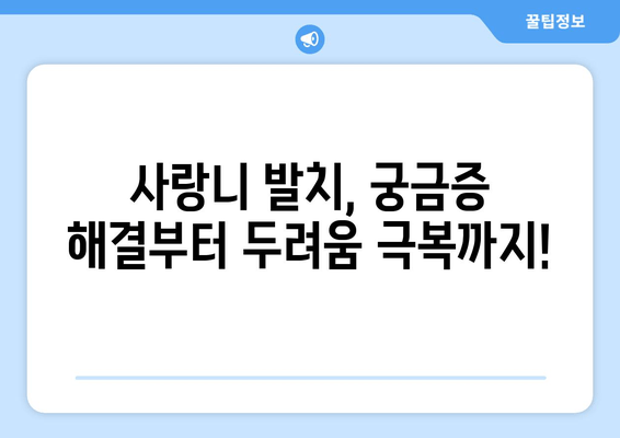 사랑니 제거 두려움, 이제 안녕! | 사랑니 발치 공포 극복 가이드