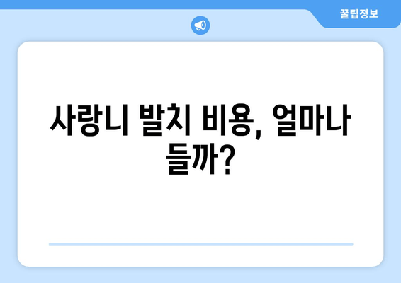 매복 사랑니 발치 전 꼭 체크해야 할 5가지 필수 사항 | 사랑니 발치, 치과, 통증, 주의사항, 비용