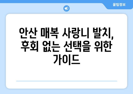 안산 매복 사랑니 발치, 전문성 있는 치과 선택 가이드| 체크리스트 5가지 | 안산 치과, 사랑니 발치, 매복 사랑니, 치과 추천