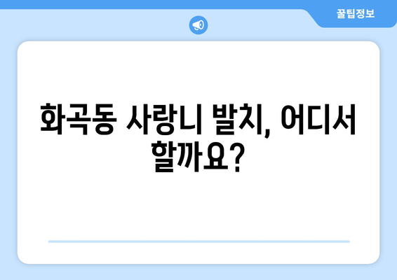 화곡동 사랑니, 뽑아야 할까요? 고민 해결 가이드 | 사랑니 통증, 발치, 치과 추천