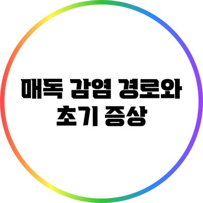 매독: 감염 경로와 초기 증상