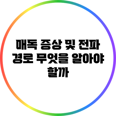 매독 증상 및 전파 경로: 무엇을 알아야 할까?