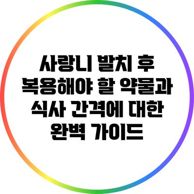 사랑니 발치 후 복용해야 할 약물과 식사 간격에 대한 완벽 가이드