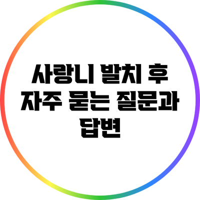 사랑니 발치 후 자주 묻는 질문과 답변