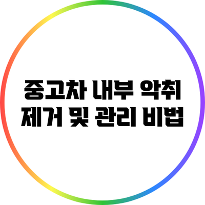 중고차 내부 악취 제거 및 관리 비법