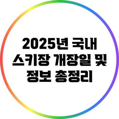 2025년 국내 스키장 개장일 및 정보 총정리