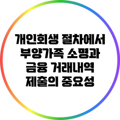 개인회생 절차에서 부양가족 소명과 금융 거래내역 제출의 중요성