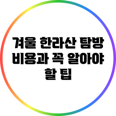 겨울 한라산 탐방 비용과 꼭 알아야 할 팁