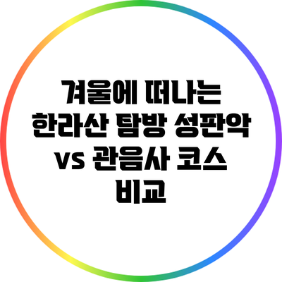 겨울에 떠나는 한라산 탐방: 성판악 vs 관음사 코스 비교