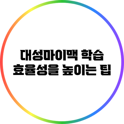 대성마이맥 학습 효율성을 높이는 팁