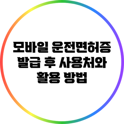 모바일 운전면허증 발급 후 사용처와 활용 방법