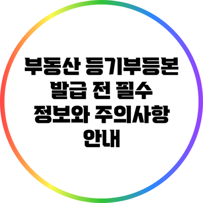 부동산 등기부등본 발급 전 필수 정보와 주의사항 안내