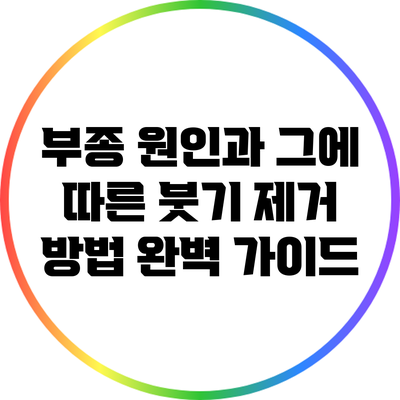 부종 원인과 그에 따른 붓기 제거 방법 완벽 가이드
