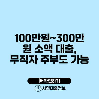 100만원~300만원 소액 대출, 무직자 주부도 가능