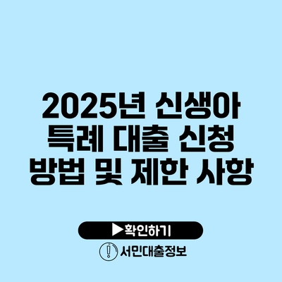 2025년 신생아 특례 대출 신청 방법 및 제한 사항