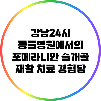 강남24시 동물병원에서의 포메라니안 슬개골 재활 치료 경험담