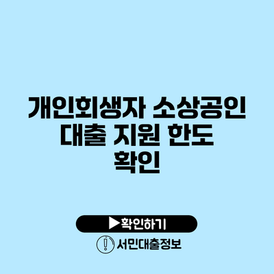 개인회생자 소상공인 대출 지원 한도 확인