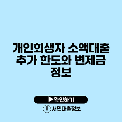 개인회생자 소액대출 추가 한도와 변제금 정보