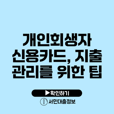 개인회생자 신용카드, 지출 관리를 위한 팁