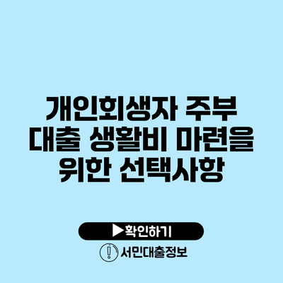 개인회생자 주부 대출: 생활비 마련을 위한 선택사항