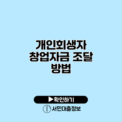 개인회생자 창업자금 조달 방법