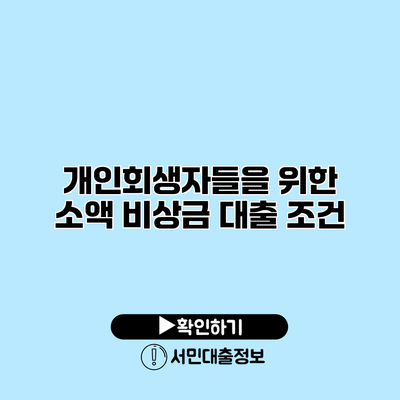 개인회생자들을 위한 소액 비상금 대출 조건
