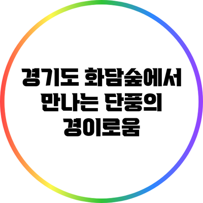 경기도 화담숲에서 만나는 단풍의 경이로움