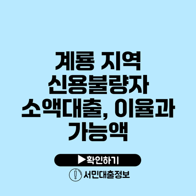 계룡 지역 신용불량자 소액대출, 이율과 가능액
