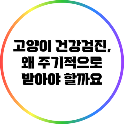 고양이 건강검진, 왜 주기적으로 받아야 할까요?